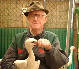 &copy; Storchenpflegestation Wesermarsch