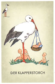 &copy; Storchenpflegestation Wesermarsch