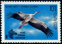 &copy; Storchenpflegestation Wesermarsch