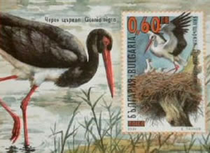 &copy; Storchenpflegestation Wesermarsch