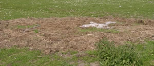 &copy; Storchenpflegestation Wesermarsch