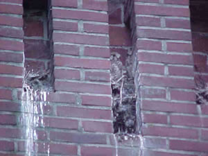 &copy; Storchenpflegestation Wesermarsch