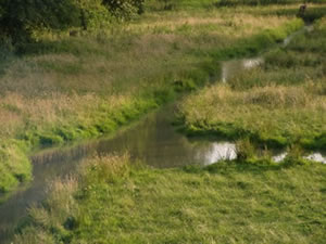 &copy; Storchenpflegestation Wesermarsch