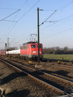 &copy; Storchenpflegestation Wesermarsch