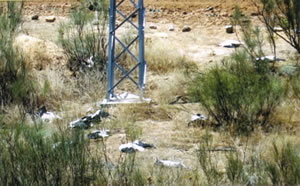 &copy; Storchenpflegestation Wesermarsch