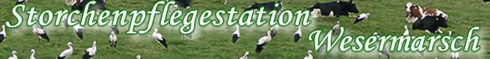 Storchenpflegestation Wesermarsch