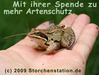 Mit ihrer Spende zu mehr Artenschutz