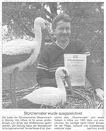 PDF zum Artikel