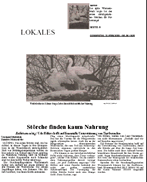 PDF zum Artikel