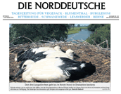 PDF zum Artikel