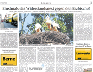 PDF zum Artikel