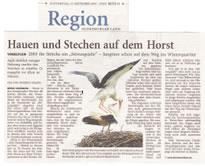 PDF zum Artikel