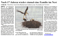 PDF zum Artikel