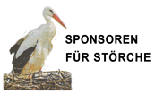 PDF zum Artikel
