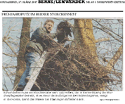 PDF zum Artikel