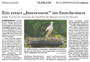 PDF zum Artikel