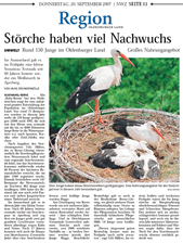 PDF zum Artikel