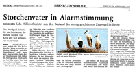 PDF zum Artikel