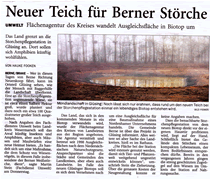 PDF zum Artikel