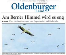 PDF zum Artikel