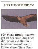 PDF zum Artikel