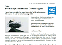 PDF zum Artikel