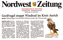PDF zum Artikel