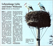 PDF zum Artikel