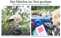 PDF zum Artikel