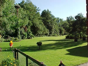 &copy; Storchenpflegestation Wesermarsch